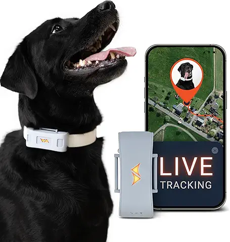PAJ Localizador GPS para Perros 4G